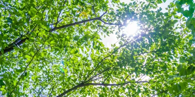 日南町総合文化センター