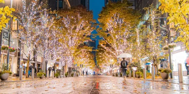 森のめぐみ Tea Salon